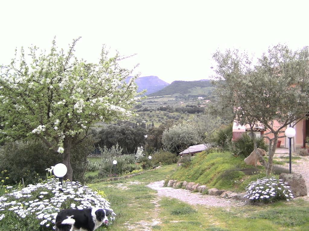 B&B Valli Verdi Alghero Exterior photo