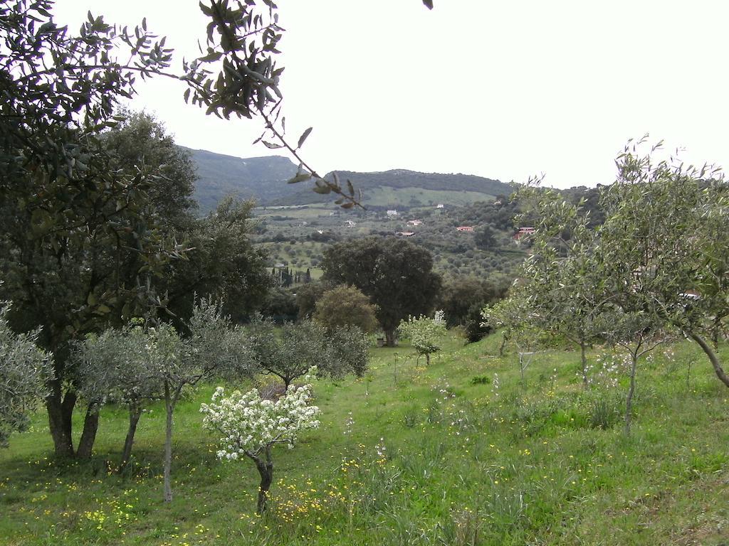 B&B Valli Verdi Alghero Exterior photo