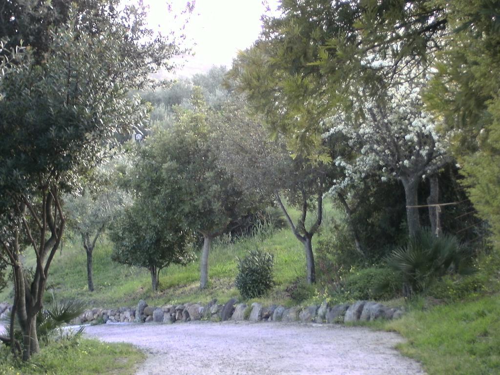 B&B Valli Verdi Alghero Exterior photo